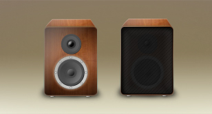 Wood Speaker Icon
